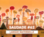 SAUDADE #62 : langue maternelle