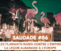 SAUDADE #86 : Les flamands roses contre l’empire, la leçon albanaise à l&rsquo;Europe